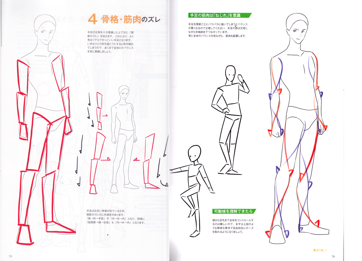 Improving Drawing Skill By Tracing Illustrations Reference Book Anime
