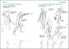 Junichi Hayama Sketch File - Battling Characters Drawing Reference Book