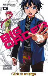 Big Order <br> Graphic Novels - click to enlarge