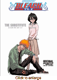 Bleach on DVD - click to enlarge