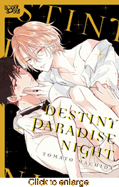 Destiny Paradise Night <br> Graphic Novels - click to enlarge