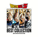 Dragon Ball Z <br> Best Collection Vinyl LP