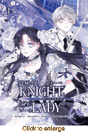 From a Knight to a Lady <br> Graphic Novels - click to enlarge