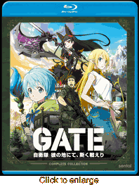GATE - click to enlarge