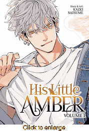 His Little Amber <br> Graphic Novels - click to enlarge