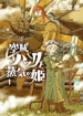 Huck the Air Pirate and the Princess of Steam <br> Graphic Novels