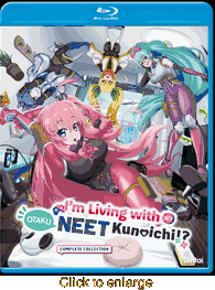 I�m Living with an Otaku NEET Kunoichi!? - click to enlarge
