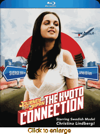 Journey to Japan: The Kyoto Connection - click to enlarge