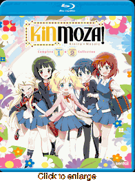Kinmoza! - click to enlarge