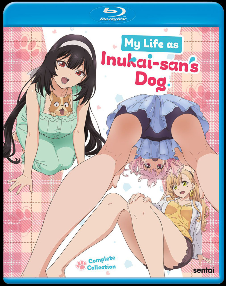 my-life-as-inukai-san-s-dog-bluray-pre-order-release-date-feb-13-2024-1 image