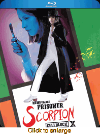 New Female Prisoner Scorpion Cellblock X - click to enlarge