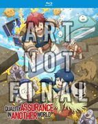 Quality Assurance in Another World