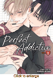 Perfect Addiction <br> Graphic Novels - click to enlarge