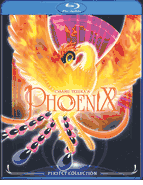 Phoenix 