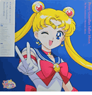 Pretty Guardian Sailor Moon: <br> The 30th Anniversary <br> Memorial Album Vinyl LP