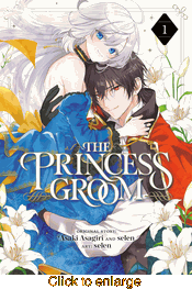Princess Groom <br> Graphic Novels - click to enlarge