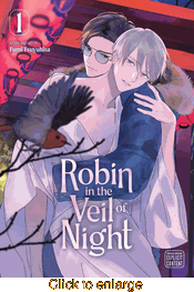 Robin in the Veil of Night <br> Graphic Novels - click to enlarge