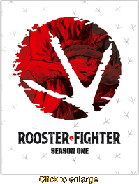 Rooster Fighter - click to enlarge