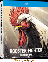 Rooster Fighter - click to enlarge