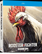 Rooster Fighter