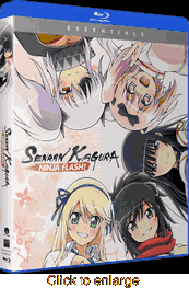 Senran Kagura: Ninja Flash! - click to enlarge