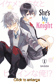 She's My Knight <br> Graphic Novels - click to enlarge