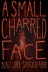 Small Charred Face <br> Novels