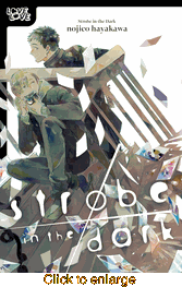 Strobe in the Dark <br> Graphic Novels - click to enlarge