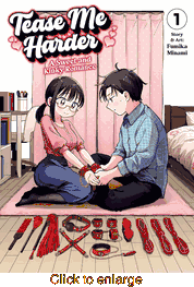 Tease Me Harder: A Sweet and Kinky Romance <br> Graphic Novels - click to enlarge