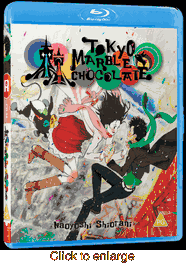 Tokyo Marble Chocolate - click to enlarge