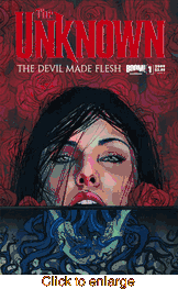 Unknown <br> Graphic Novels - click to enlarge