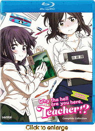 Why the Hell Are <br> You Here Teacher - click to enlarge