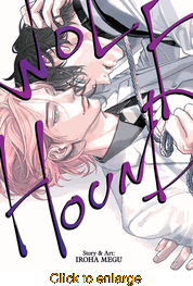 Wolfhound <br> Graphic Novels - click to enlarge