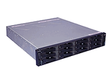 EXP3000 Express Model (MegaRAID)