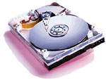 Seagate ST136403FC (146 GB) 3 1/2 10000 RPM for use in Sun Fire V480, V490, V880, V890, StorEdge 3510, 6020, 6120, 6130