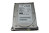 Sun / 390-0174 /  Seagate ST373207LC, SCSI Disk (73.4GB - 10000 RPM Ultra-320) -- Sun Parts