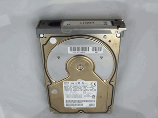 Sun 9.1 GB 7200 RPM SCSI
