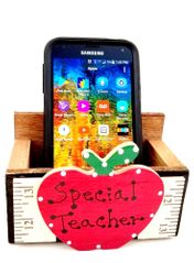 Special Teacher