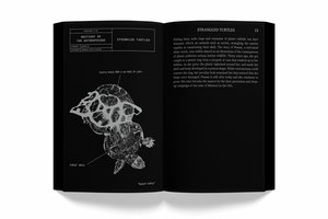 A Bestiary of the Anthropocene