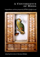 A Convergence Of Birds