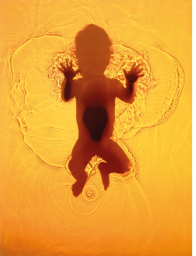 A flash of light, an imprint on paper: Adam Fuss