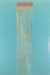 A significant new monograph on Pat Steir