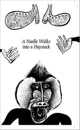 A Needle Walks into a Haystack