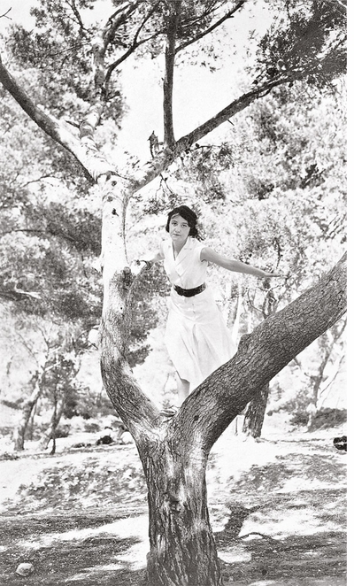 A new edition of bookseller favorite, 'Women in Trees'
