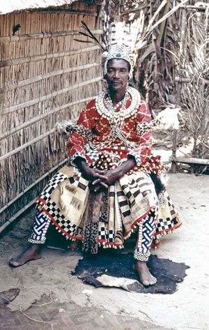 A View from the Forest