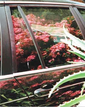 Aaron Stern: Ghost Rider