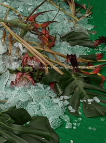 Abbas Akhavan: Variations on a Garden