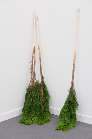Abbas Akhavan: Variations on a Garden