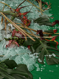 Abbas Akhavan: Variations on a Garden