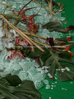 Abbas Akhavan: Variations on a Garden